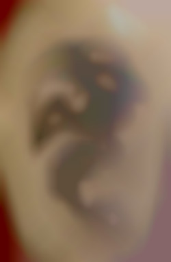 Member Image