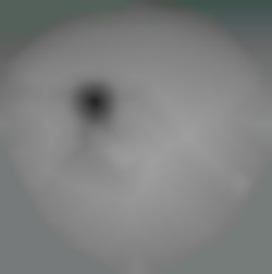 Member Image