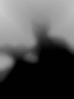 Member Image