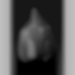 Member Image