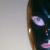 Latexaner