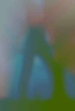 Member Image