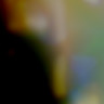Church of Solipsism