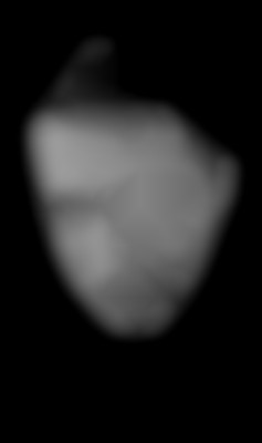 Member Image