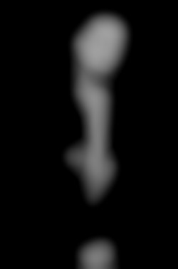 Member Image