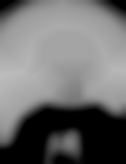 Member Image