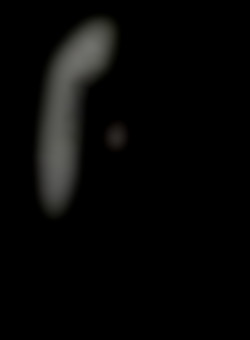 Member Image