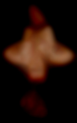 Member Image