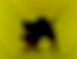 Member Image