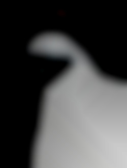 Member Image