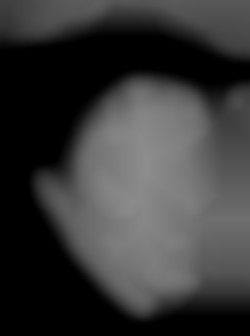 Member Image