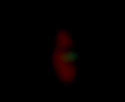 Member Image