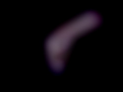 Member Image