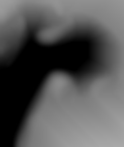 Member Image