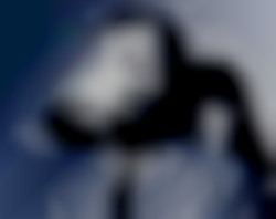 Member Image