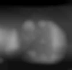 Member Image