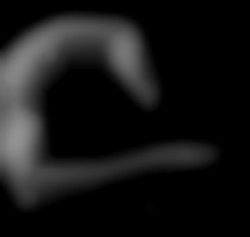 Member Image