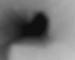Member Image