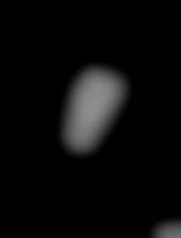 Member Image