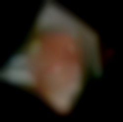 Member Image