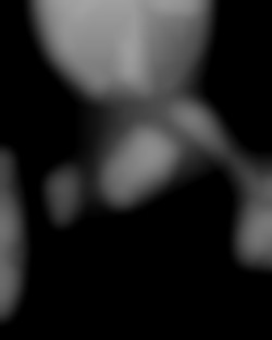 Member Image