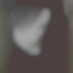 Member Image
