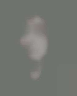Member Image