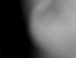 Member Image