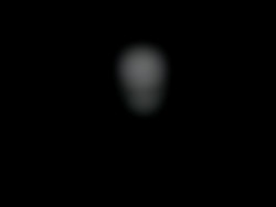Member Image