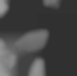 Member Image