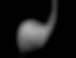 Member Image