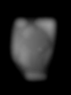 Member Image