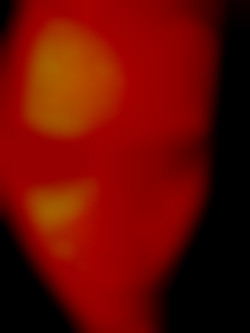Member Image