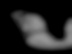 Member Image