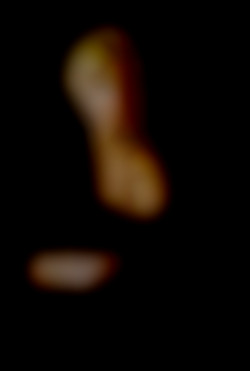 Member Image