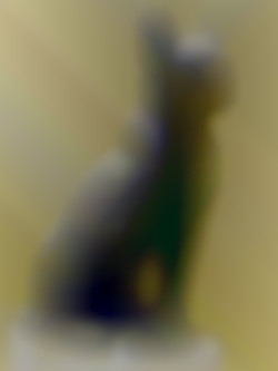 Member Image