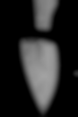 Member Image