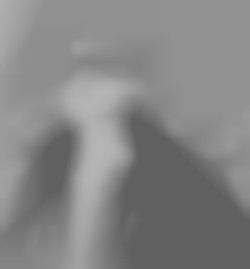 Member Image