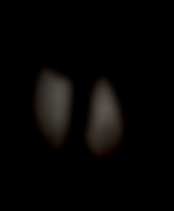 Member Image