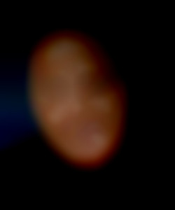 Member Image