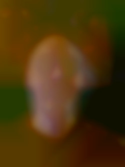 Member Image