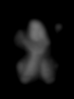 Member Image
