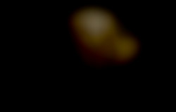 Member Image