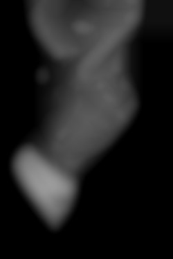 Member Image