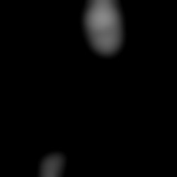 Member Image