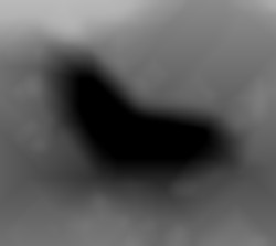 Member Image