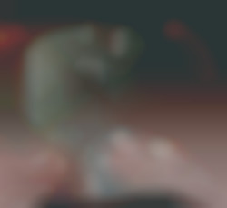 Member Image