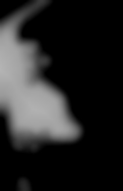 Member Image