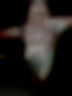 Member Image