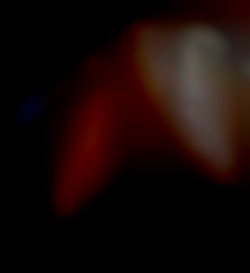 Member Image